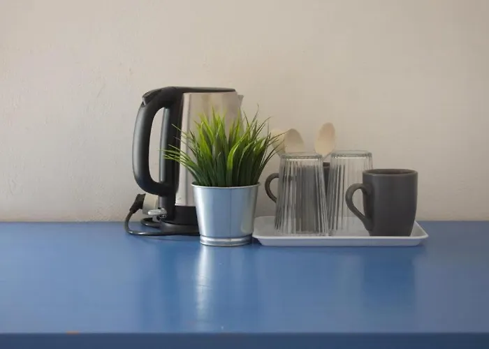 Eli's * 泰拉西尼